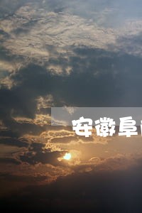 安徽阜阳阜南债务协议纠纷律师 安徽阜阳阜南债务协议纠纷律师