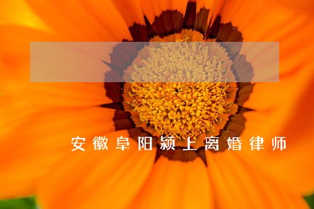 安徽阜阳颍上离婚律师 安徽阜阳颍上离婚律师