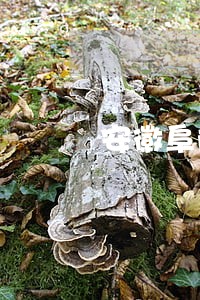 安徽阜阳颍州区专业债务律师 安徽阜阳颍州区专业债务律师