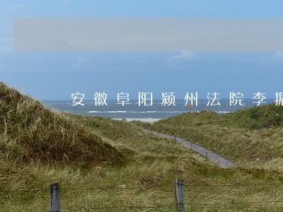 安徽阜阳颍州法院李振