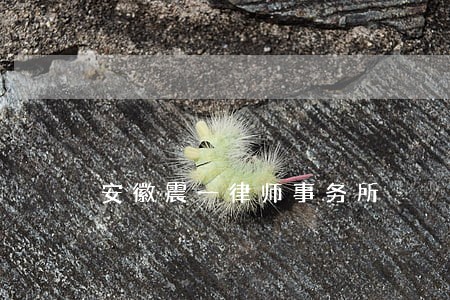 安徽震一律师事务所 安徽震一律师事务所