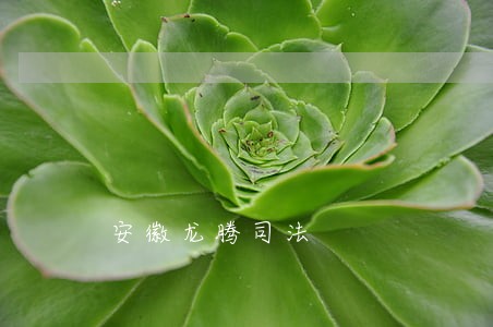 安徽龙腾司法
