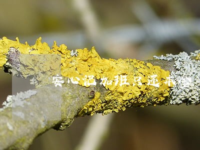 安心记加班只还本金 安心记加班只还本金