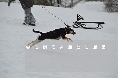 安心财富逾期公告后果 安心财富逾期公告后果