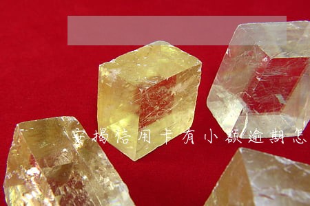 安揭信用卡有小额逾期怎么办 安揭信用卡有小额逾期怎么办