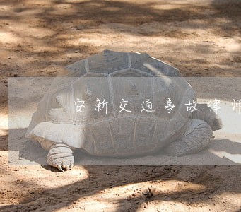 安新交通事故律师快报 安新交通事故律师快报