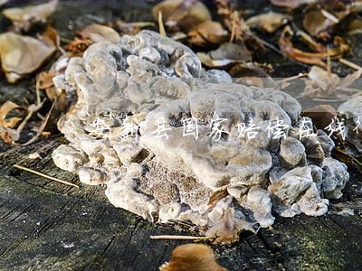安新县国家赔偿在线律师 安新县国家赔偿在线律师