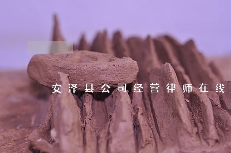 安泽县公司经营律师在线咨询