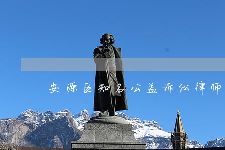 安源区知名公益诉讼律师 安源区知名公益诉讼律师