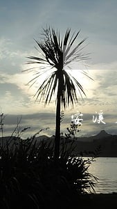 安溪房地产律师