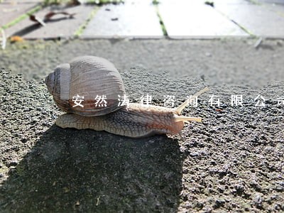 安然法律咨询有限公司 安然法律咨询有限公司