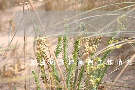 安监局法律顾问工作情况报告 安监局法律顾问工作情况报告