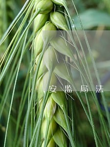 安监局法规科工作内容
