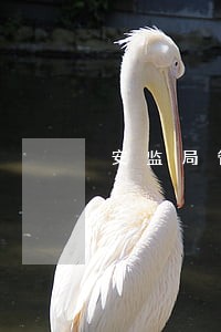 安监局管不管法律诉讼 安监局管不管法律诉讼