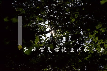 安硕信息信披违法收证监会处决书 安硕信息信披违法收证监会处决书