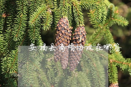 安福县离婚协议在哪签 安福县离婚协议在哪签