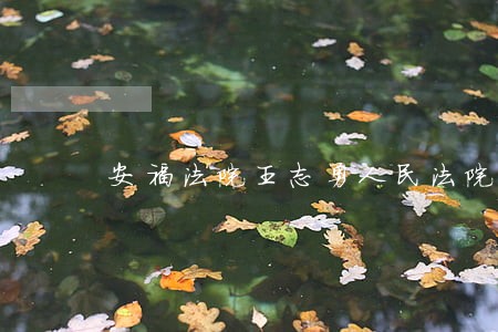 安福法院王志勇人民法院报 安福法院王志勇人民法院报