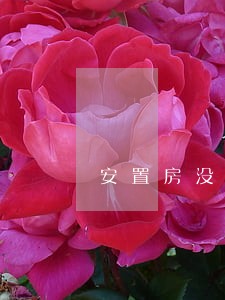 安置房没有房产证法院可以拍卖吗 安置房没有房产证法院可以拍卖吗