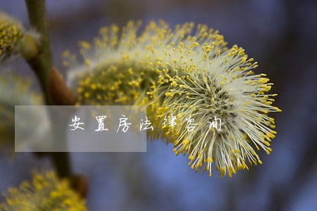 安置房法律咨询 安置房法律咨询