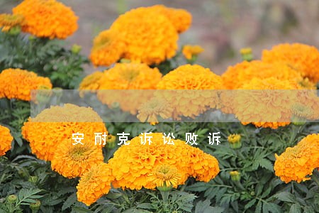 安耐克诉讼败诉
