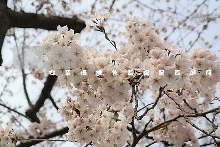 安装摄像头监控是否涉及违法 安装摄像头监控是否涉及违法