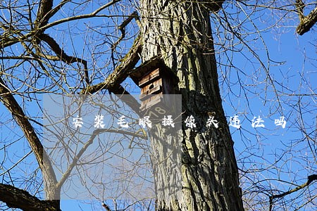 安装毛眼摄像头违法吗 安装毛眼摄像头违法吗