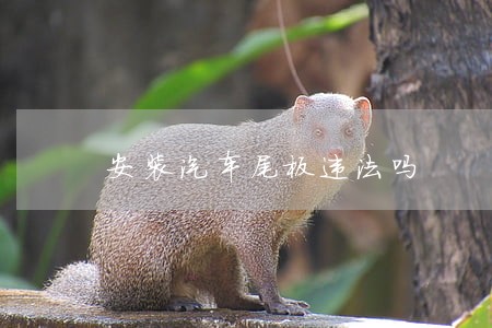 安装汽车尾板违法吗