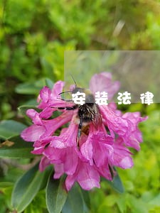安装法律手续是否完备