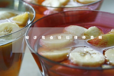 安达专业诉讼律师费用 安达专业诉讼律师费用