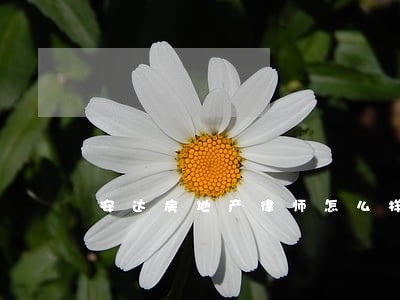 安达房地产律师怎么样 安达房地产律师怎么样