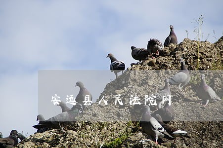 安远县人民法院网 安远县人民法院网