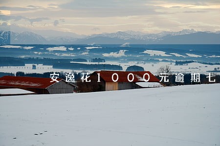安逸花1000元逾期七天