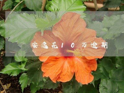 安逸花10万逾期 安逸花10万逾期