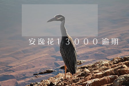 安逸花13000逾期