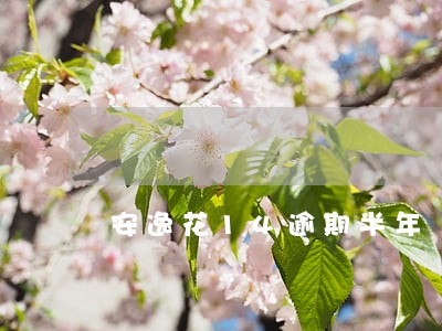 安逸花14逾期半年 安逸花14逾期半年