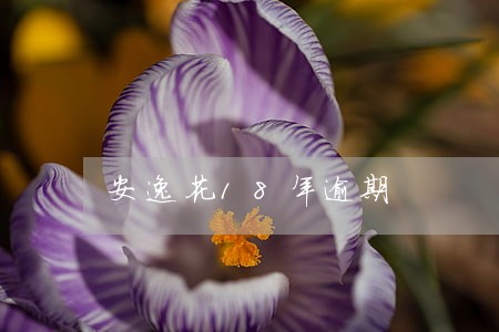 安逸花18年逾期 安逸花18年逾期