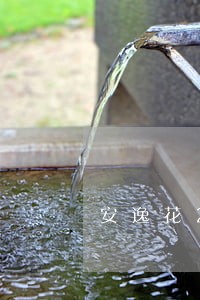 安逸花20000逾期1年 安逸花20000逾期1年