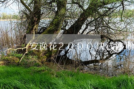 安逸花2000块钱逾期了