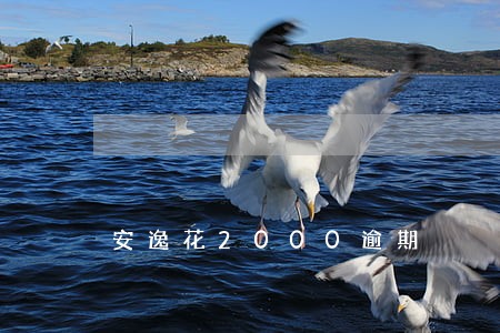 安逸花2000逾期 安逸花2000逾期