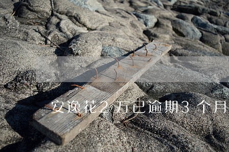 安逸花2万已逾期3个月 安逸花2万已逾期3个月