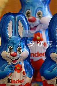 安逸花2万已逾期一年 安逸花2万已逾期一年