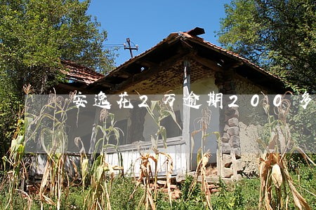 安逸花2万逾期200多天 安逸花2万逾期200多天