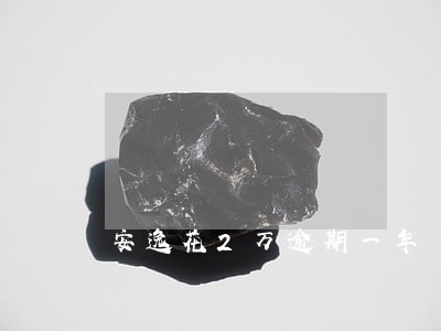 安逸花2万逾期一年