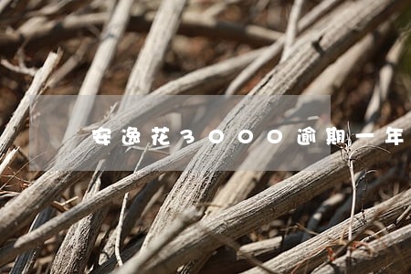 安逸花3000逾期一年 安逸花3000逾期一年