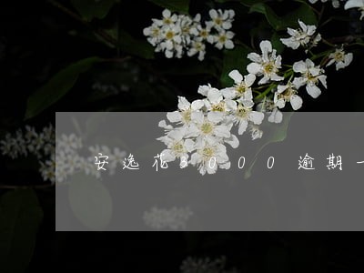 安逸花3000逾期一年多怎么办 安逸花3000逾期一年多怎么办
