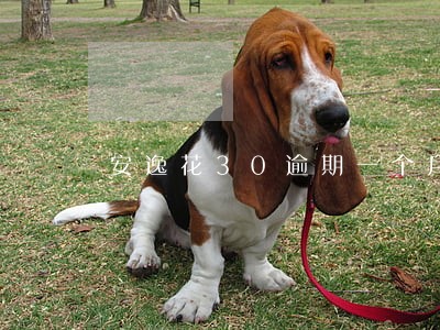 安逸花30逾期一个月 安逸花30逾期一个月