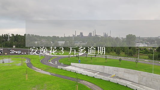 安逸花3万多逾期 安逸花3万多逾期