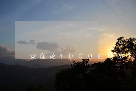 安逸花4000逾期四个月