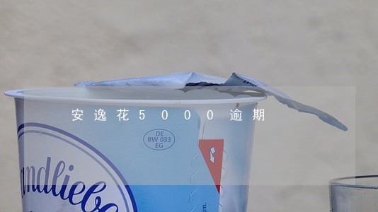 安逸花5000逾期 安逸花5000逾期