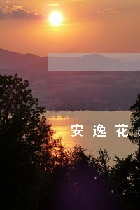 安逸花5100逾期 安逸花5100逾期